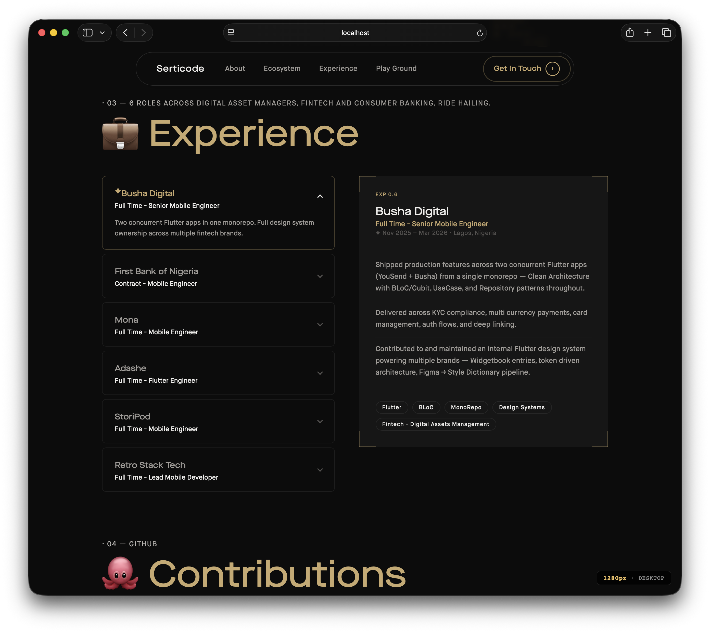 Experience — Samuel Akujor portfolio
